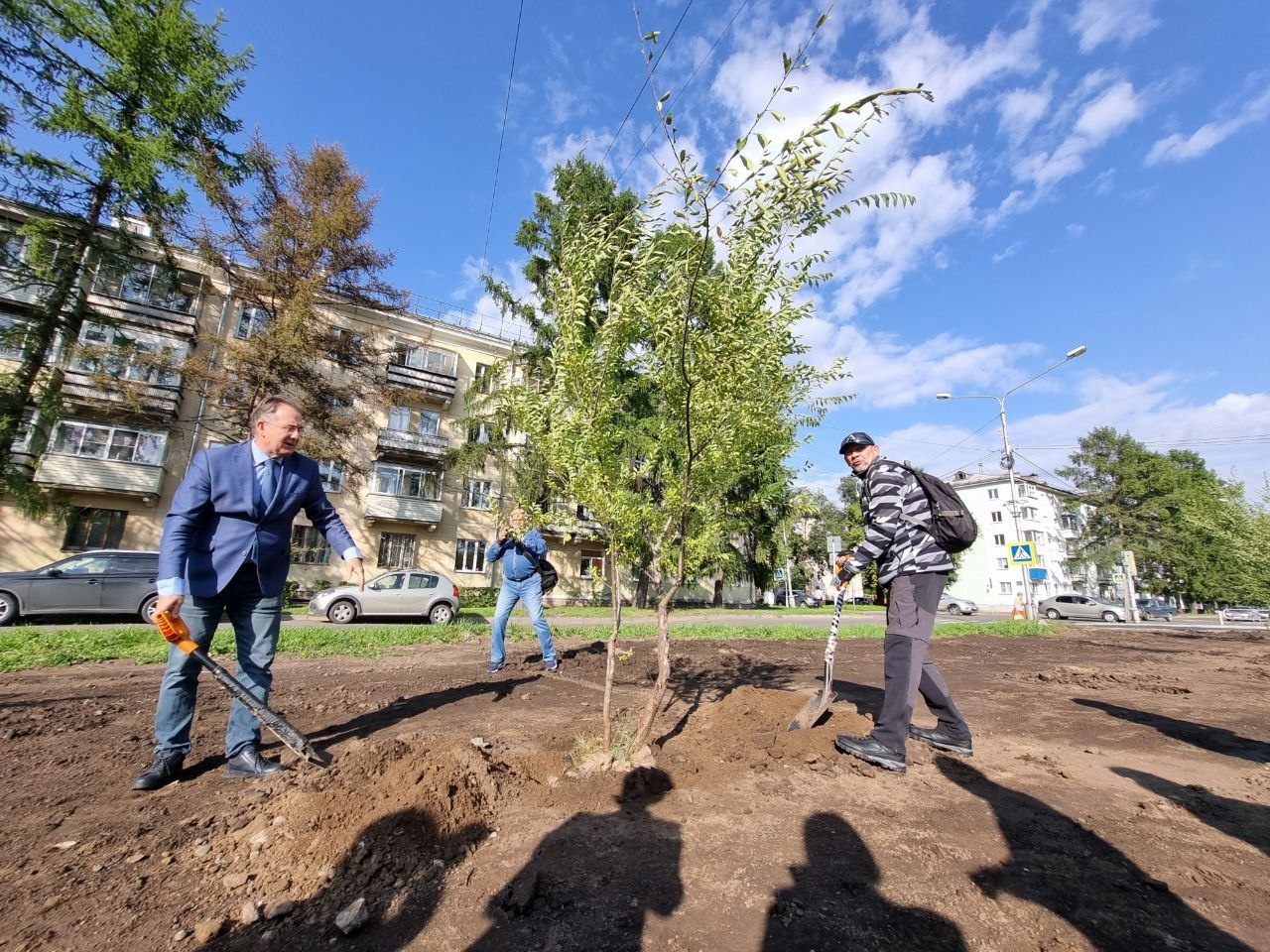 Председатель Совета депутатов ЗАТО г. Железногорск принял участие в высадке деревьев на аллее по ул. Андреева